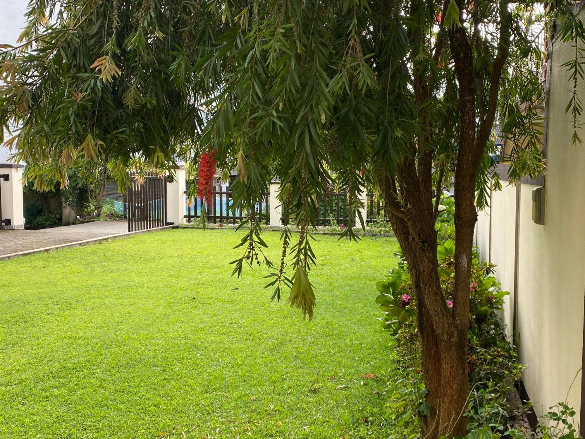 Villa Cassandra Nuwara Eliya Zewnętrze zdjęcie